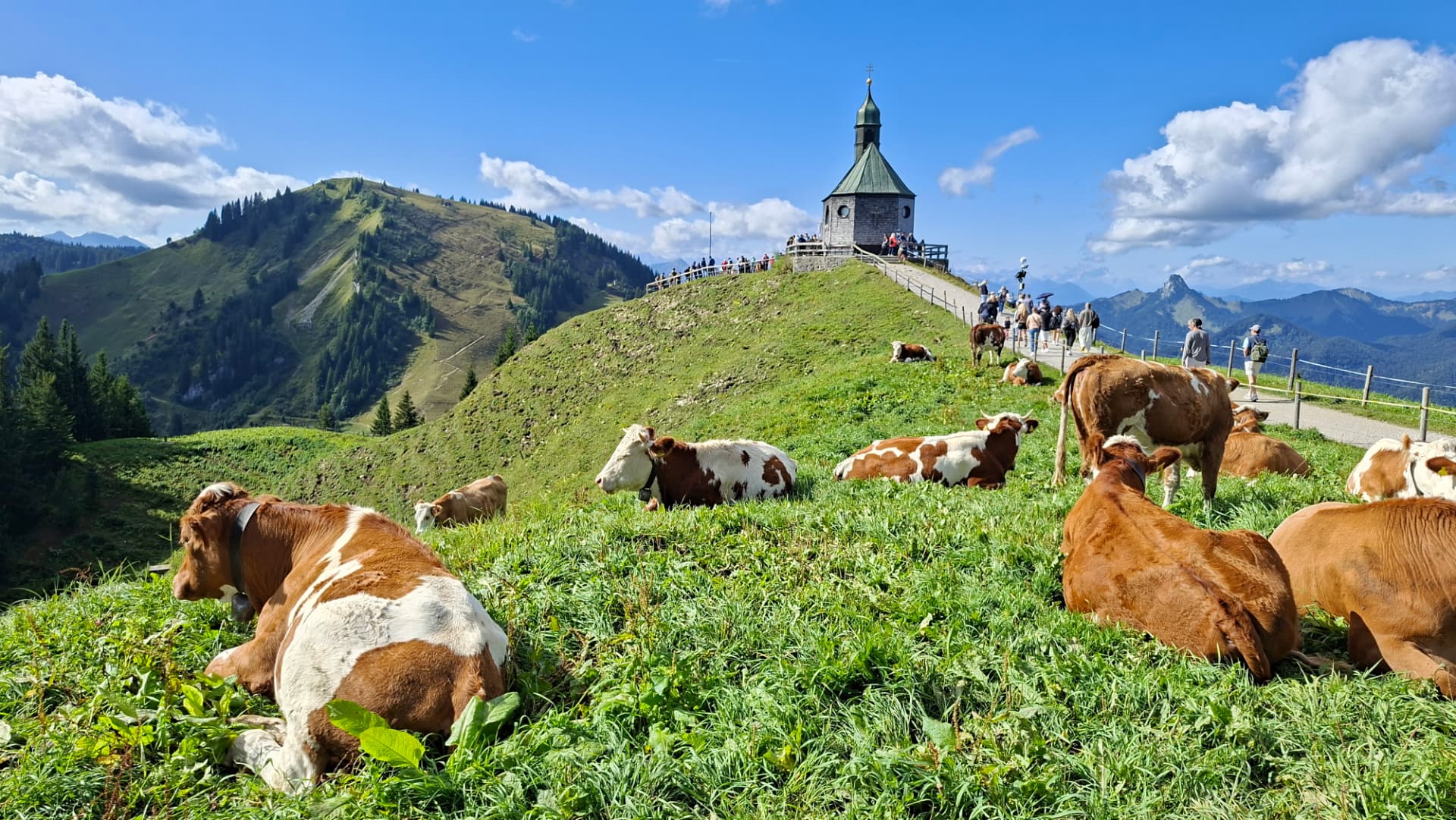 The Wallbergkirchl chapel with cows grazing on the ridge above Tegernsee.