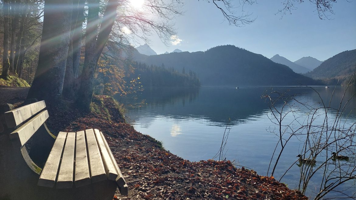alpsee-lake-autumn-hohenschwangau-bavaria-germany autumn bench by alpsee lake with sunlight in hohenschwangau near neuschwanstein castle, bavaria-germany