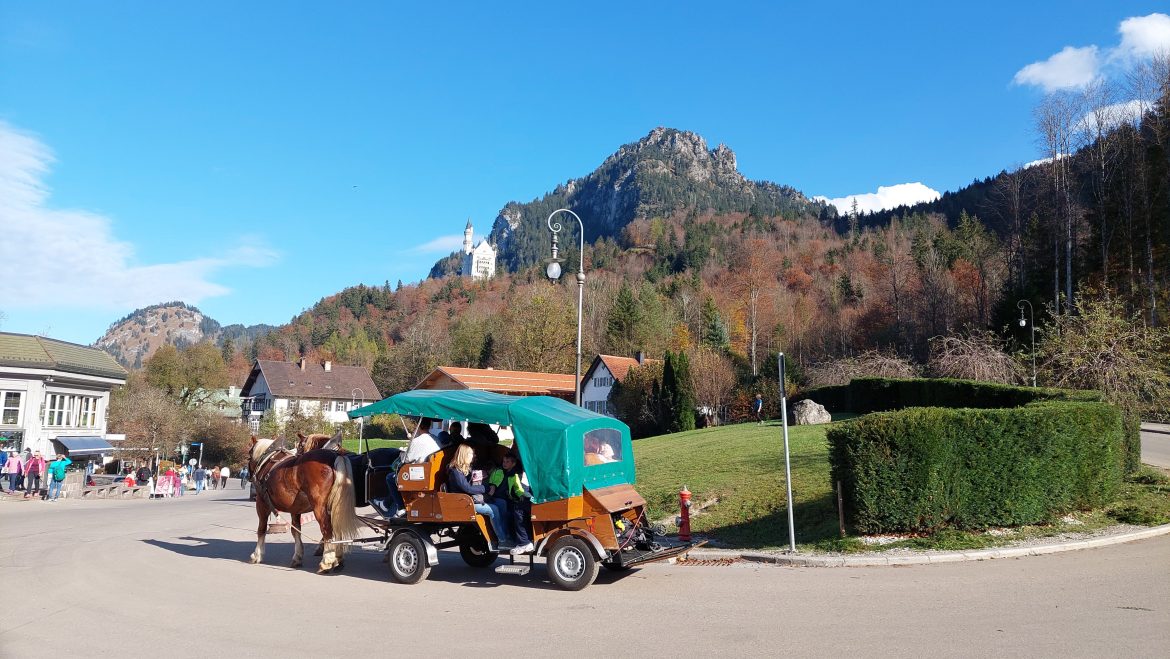 hohenschwangau-horse-carriage-neuschwanstein-castle-bavaria-germany horse carriage on the way from neuschwanstein castle in hohenschwangau, bavaria-germany