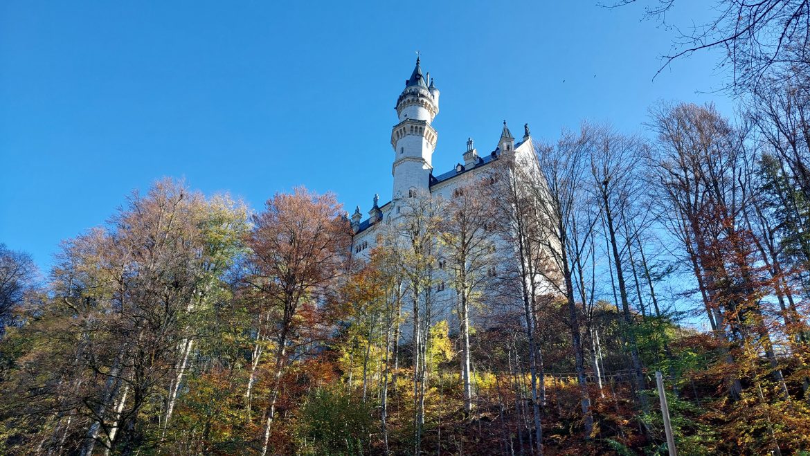 neuschwanstein-castle-autumn-trees-bavaria-germany neuschwanstein castle seen through autumn trees while hiking up trail, bavaria-germany